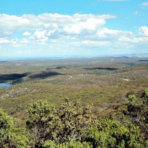 Areas naturales protegidas