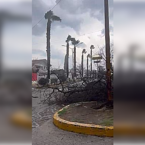 Tormenta en San José de Gracia