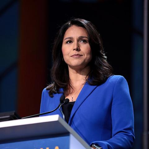 Tulsi Gabbard 