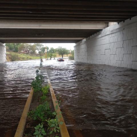 Postes y árboles caídos, vehículos varados y vialidades cerradas: los estragos de las lluvias de ayer en Aguascalientes