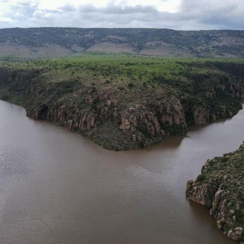 Lluvias generan optimismo entre productores del campo de Aguascalientes
