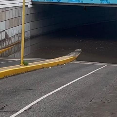Par vial Gabriela Mistral 