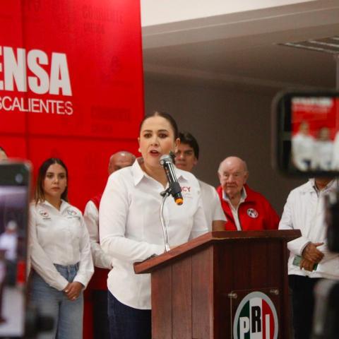 Por desconocimiento rechazan ley contra acusaciones sin sustento:  Responde diputada a OVSG