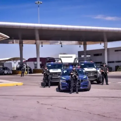 Seguridad Pública