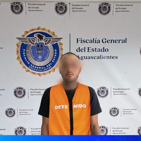 ladrón domicilio
