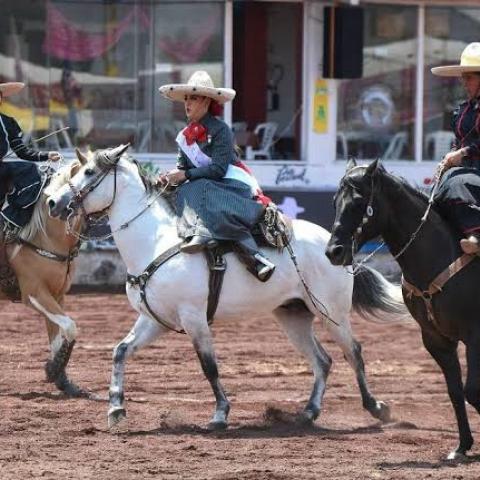 Feria del Caballo