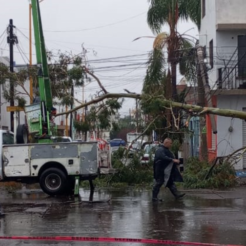 Damnificados Por Lluvias