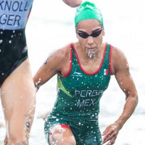 Copa Mundial de Triatlón 2026