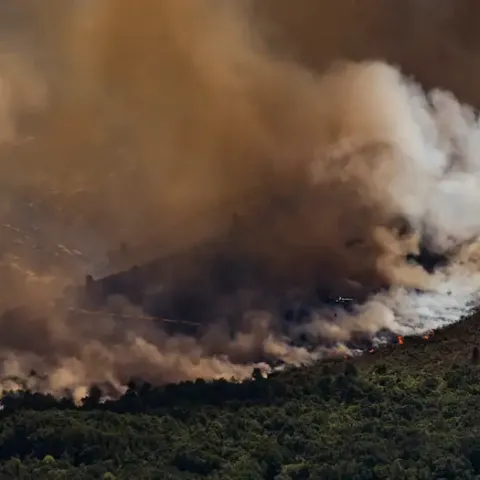 "Dramática", así considera la situación de los incendios en España Pedro Sánchez