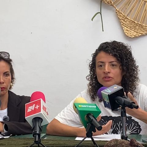 Salvemos La Pona