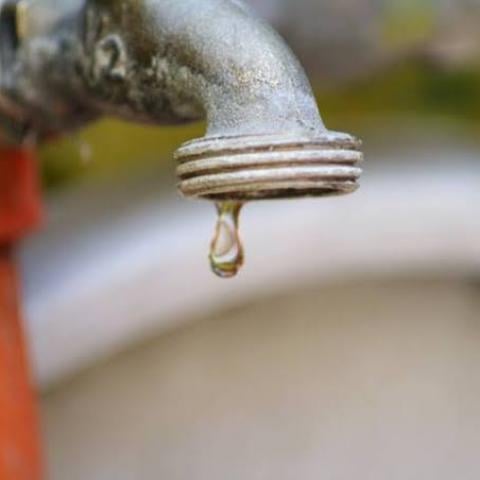 falta de agua
