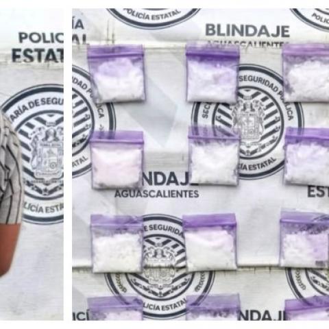 distribuidor