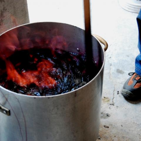 “Huachicol de vino” alcanza a Aguascalientes; lo importan como jugo y lo etiquetan como vino mexicano