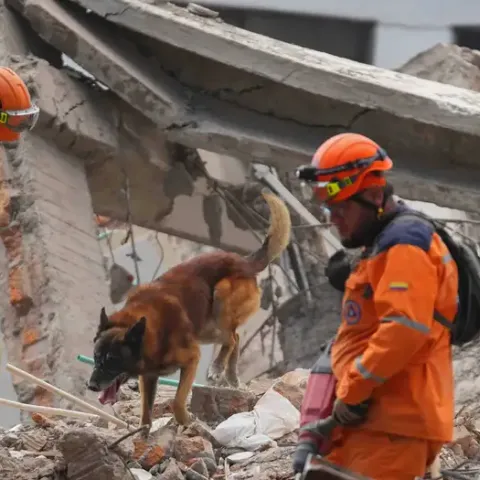Aumentan a 294 los muertos por terremoto en Colombia