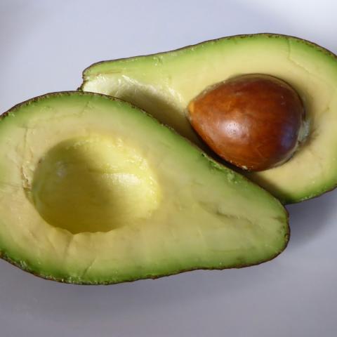 Aguacate 