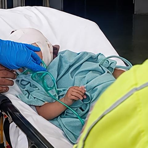 El animal logró atravesar un alambrado y la atacó; presenta mordeduras en la cabeza, abdomen y brazo izquierdo