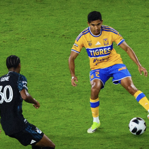 TIGRES VS MINNESOTA