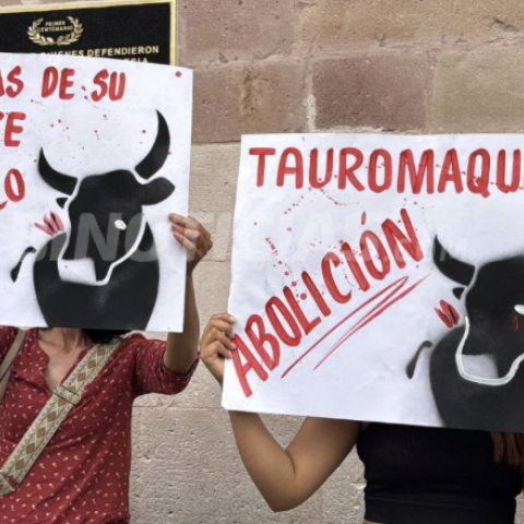 toros