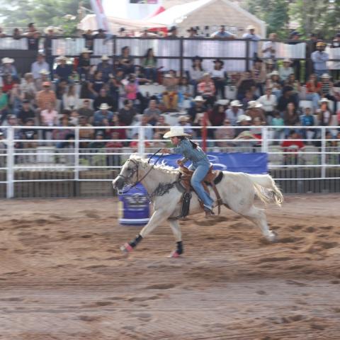 Feria Internacional del Caballo Aguascalientes 2026