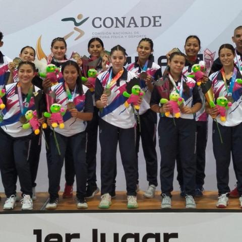 Federación Mexicana de Handball