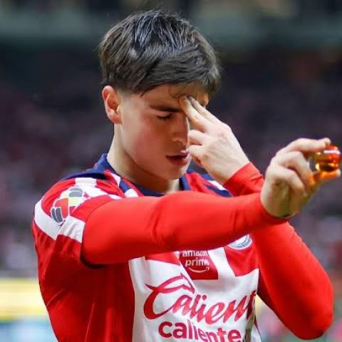 HORMIGA OLYMPIACOS