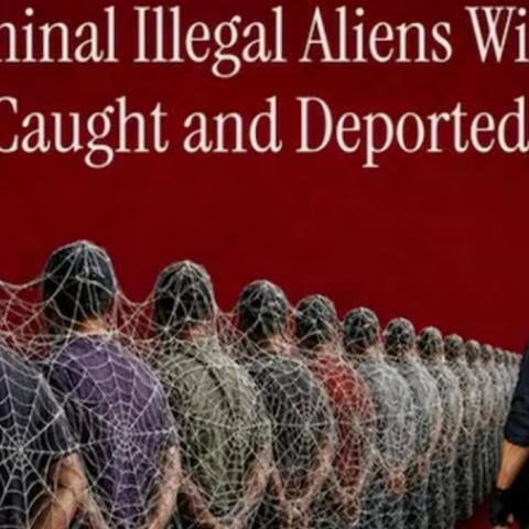 Casa Blanca desata polémica al utilizar a Spider-Man para promocionar acciones del ICE contra migrantes