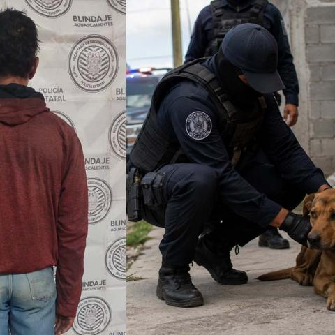 Vecinos reportaron que golpeaba a un perro en la vía pública; el animal quedó bajo resguardo de las autoridades municipales