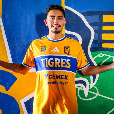 TIGRES RICARDO MONREAL 