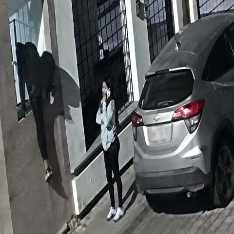Dos sujetos entraron por la azotea mientras una mujer presuntamente vigilaba y otro cómplice esperaba en un vehículo