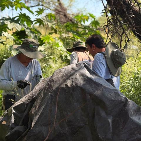 Municipio de Aguascalientes hace nueva jornada de mantenimiento en La Pona