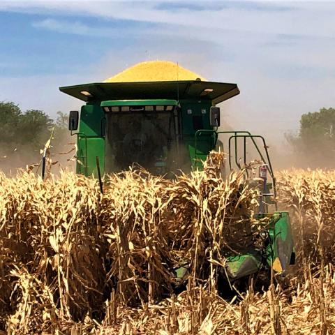 Preocupa a campesinos que temporal no se logre por falta de lluvias