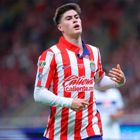 HORMIGA OLYMPIACOS