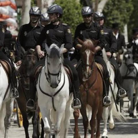 Seguridad Feria del Caballo