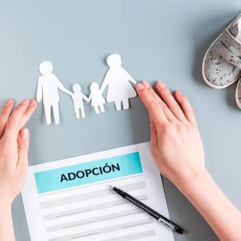 trámites de adopción