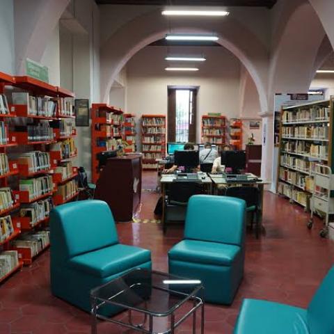 Bibliotecas y lectura