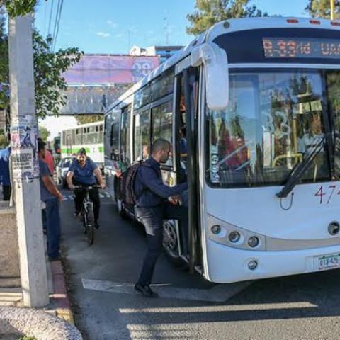 transporte gratuito
