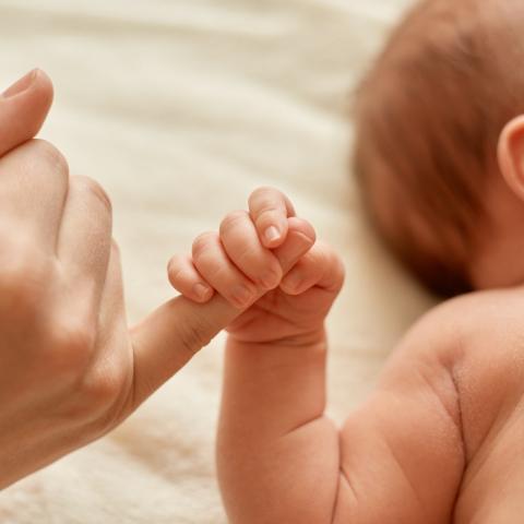 IMSS intercambia bebés en Mexicali; familias acusan encubrimiento tras un mes sin saber del error