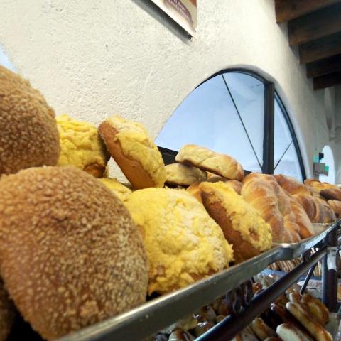 Panaderos tendrán incremento en insumos; prevén ajuste de precios a final del año 