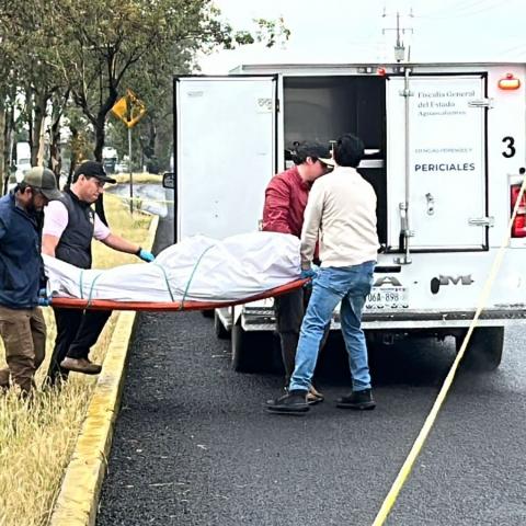 El joven de apenas 19 años perdió el control de su motocicleta sobre la carretera 45 Sur, subió al camellón y terminó impactándose contra un señalamiento