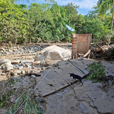 Huracán Polo deja dos menores fallecidos y tres desaparecidos en Jalisco