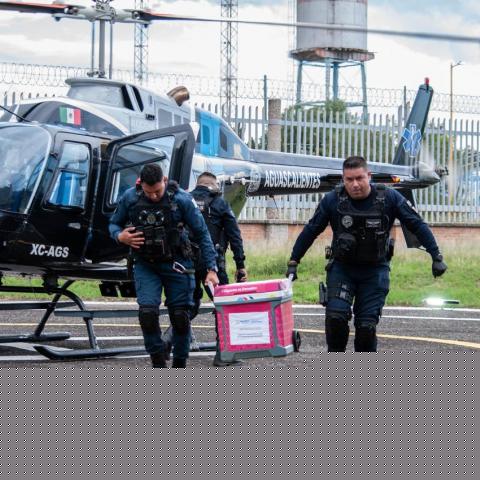Traslada Halcón 1 un hígado de Tepic a Aguascalientes para paciente en espera de trasplante