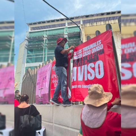 Lirios Buscadores Izcalli 