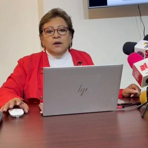 María del Carmen Corchado, Pdta. del Colegio de Economistas en Aguascalientes 
