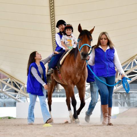 Él es Tamarindo y forma parte del equipo de equinoterapia del DIF de Aguascalientes 