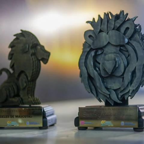 Próxima a cerrar la convocatoria al Premio Enriqueta Medellín 2026