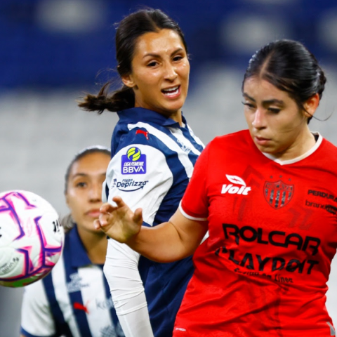Centellas del Necaxa