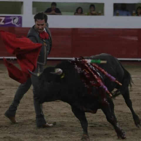 Toros Zacatecas