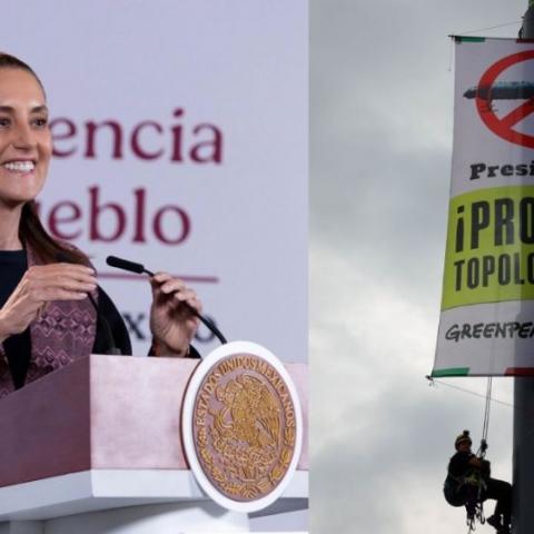 Greenpeace protesta en el Zocalo contra planta de Topolobampo; el proyecto "sigue", advierte Sheibaum