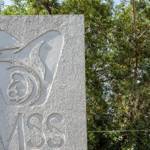 IMSS de Baja California entrega dos recién nacidas a familias erróneas