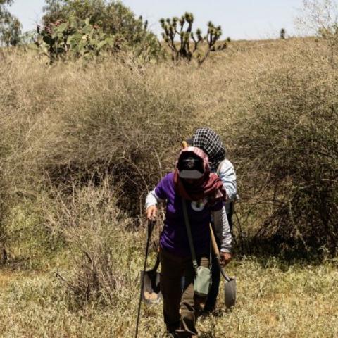 ONU pide a México proteger a las madres buscadores ante violencia brutal 